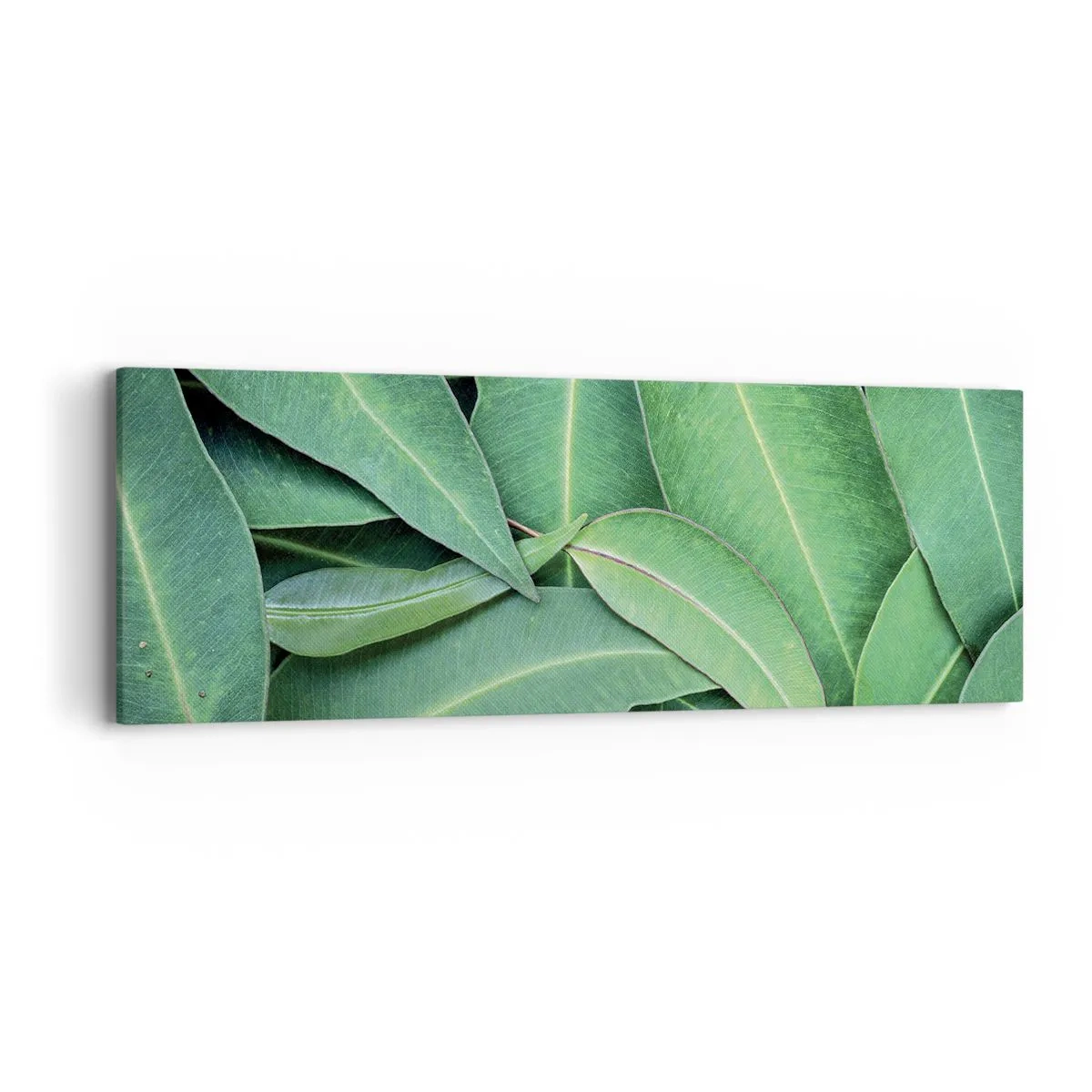 Lærredstryk - Billede på lærred - Saftig og frisk - 90x30 cm