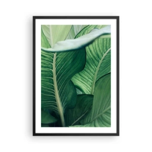 Plakat i sort ramme - Nærbillede af de grønne blade på en plante - 50x70cm - Livet er intenst grønt - Moderne vægdekoration til stue og soveværelse ARTTOR