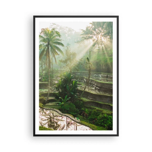 Plakat i sort ramme - Voksende op i solen - 70x100 cm