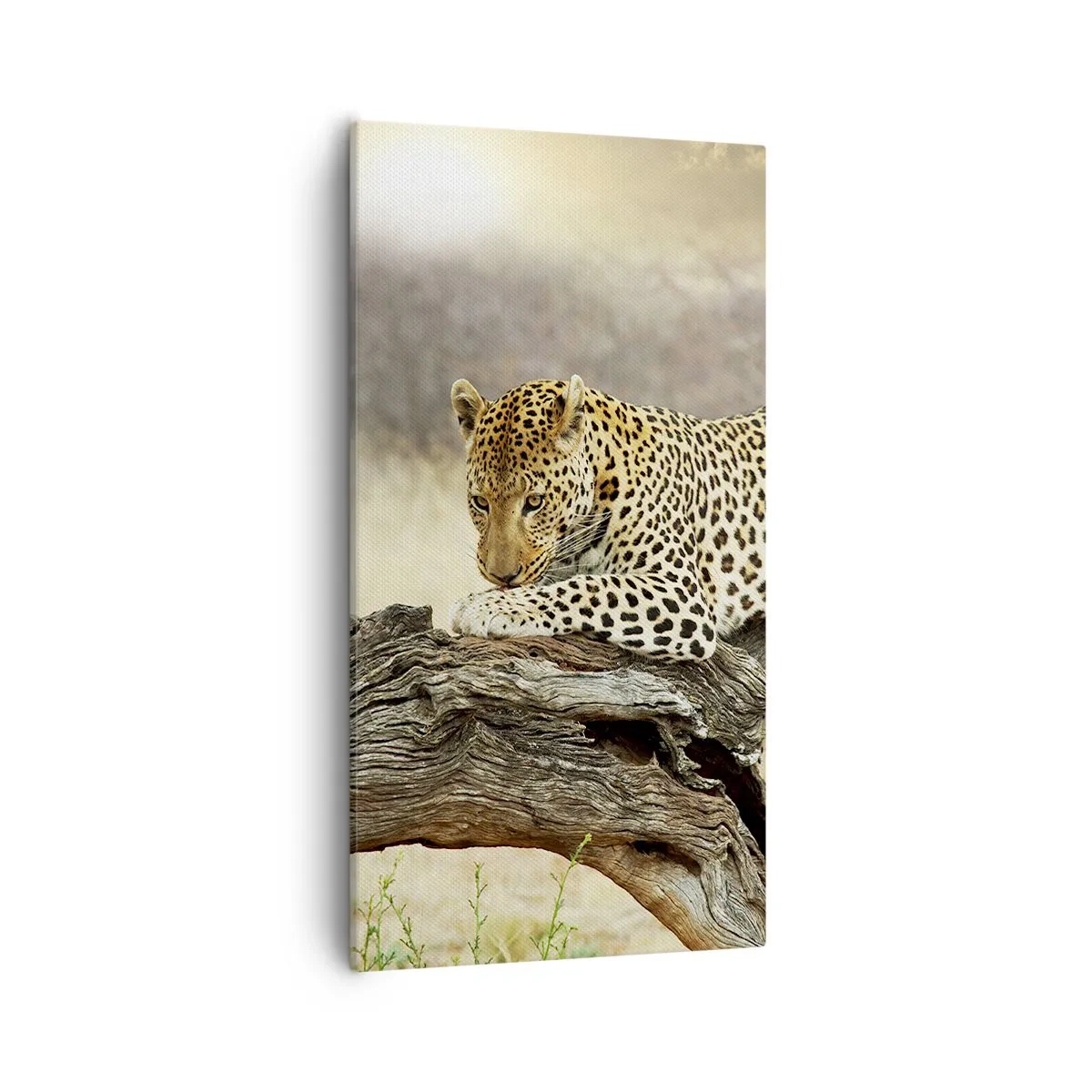 Lærredstryk - Billede på lærred - Jeg går min egen vej - 55x100 cm