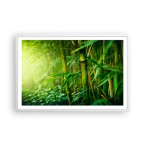 Plakat i hvid ramme - Lær selve det grønne at kende - 91x61 cm