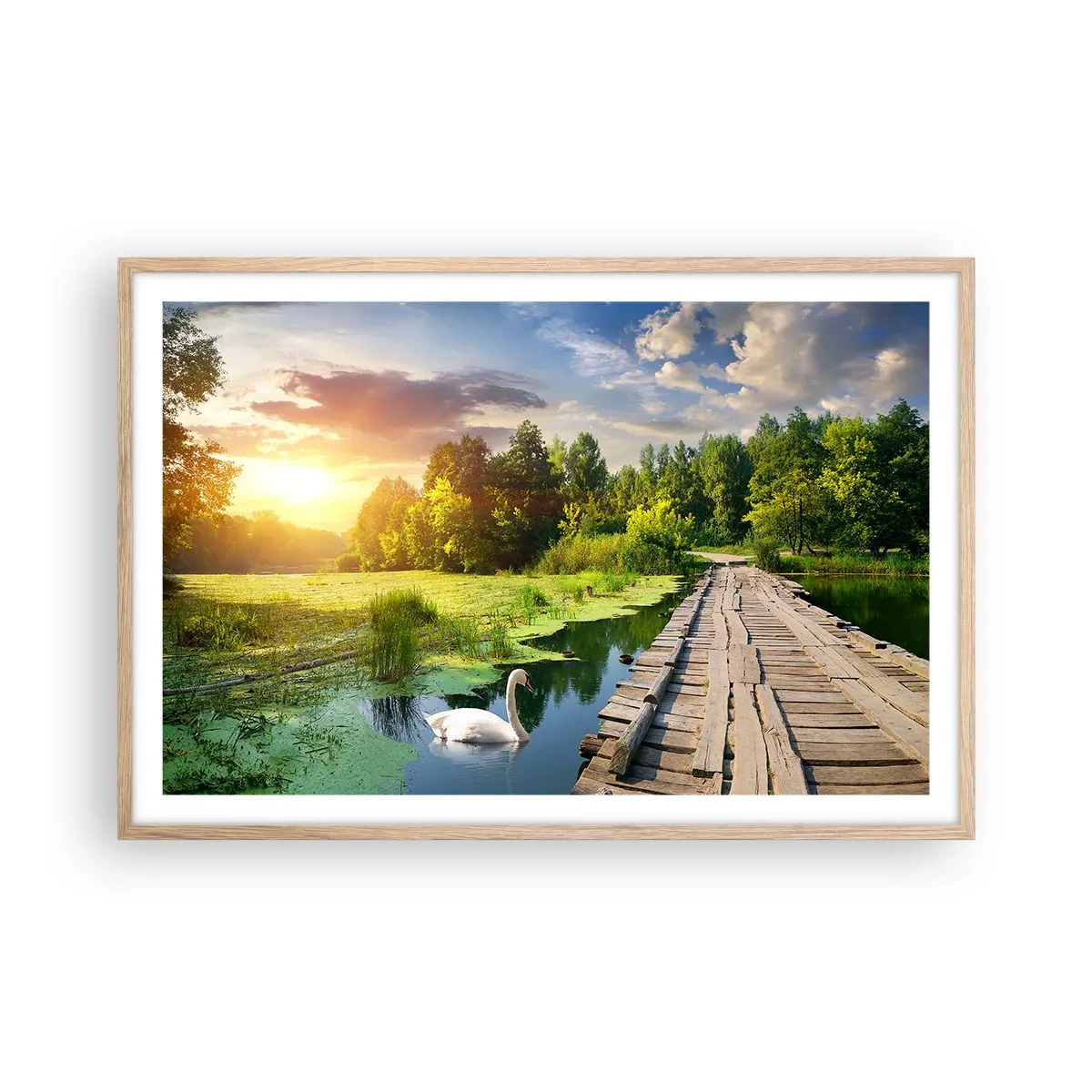 Plakat i ramme af lyst egetræ - Sommer, sommer overalt - 91x61 cm