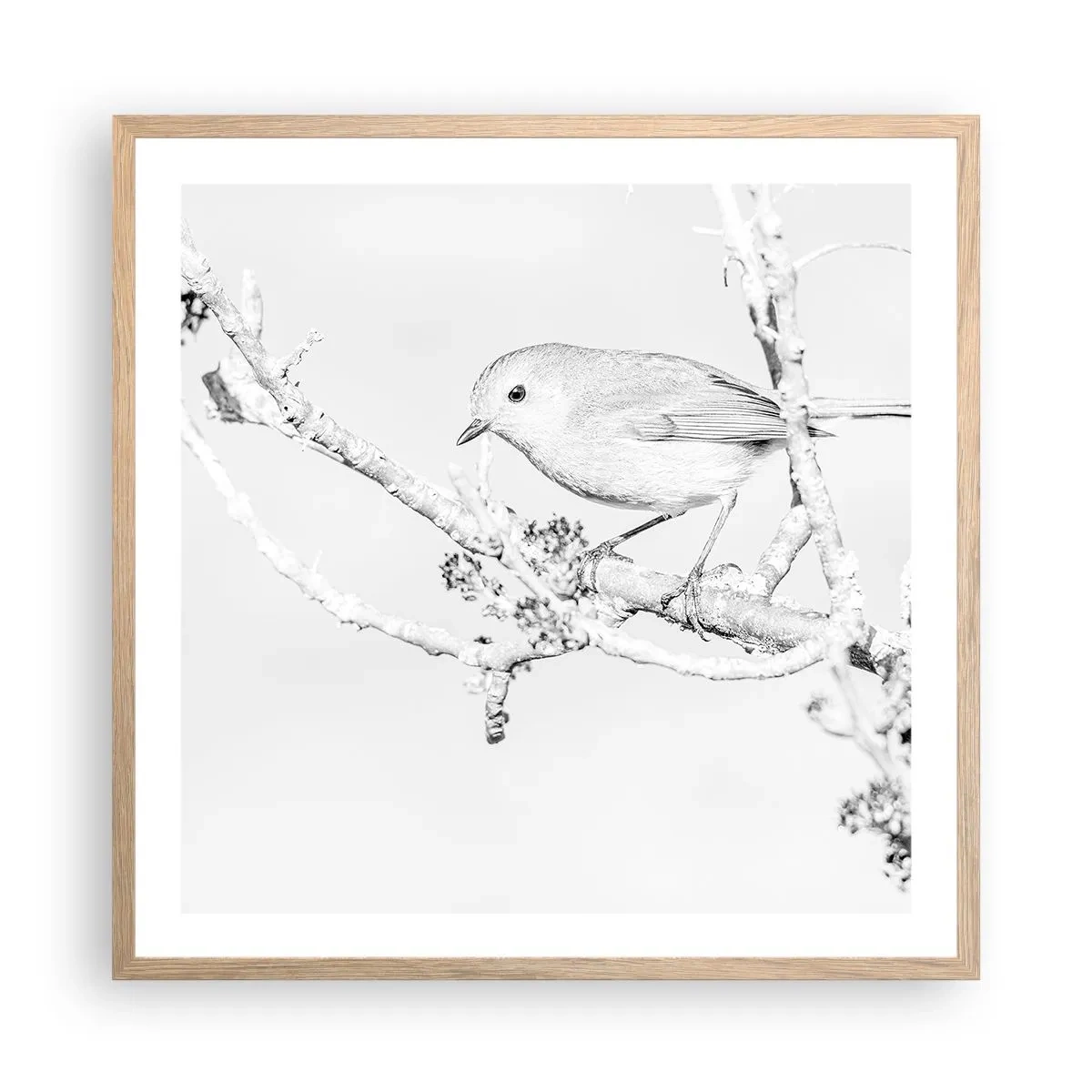 Plakat i ramme af lyst egetræ - Vintermorgen - 60x60 cm