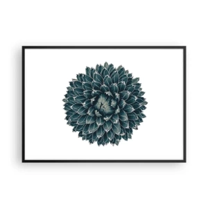 Plakat i sort ramme - Ørkenstjerne - 100x70 cm