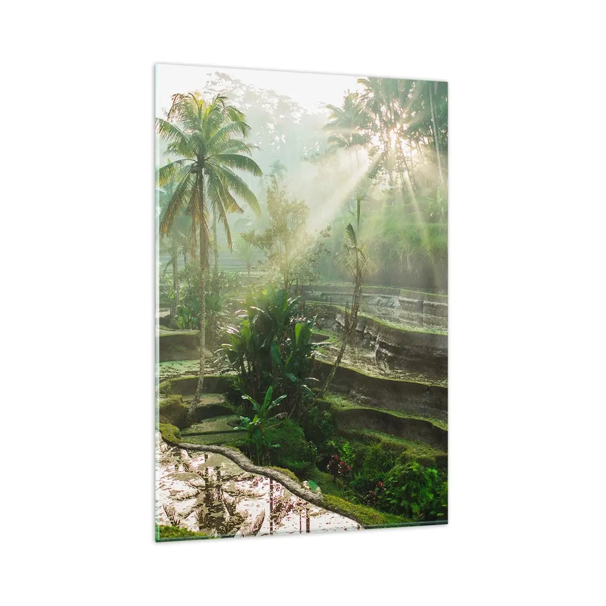 Billede på glas - Voksende op i solen - 80x120 cm