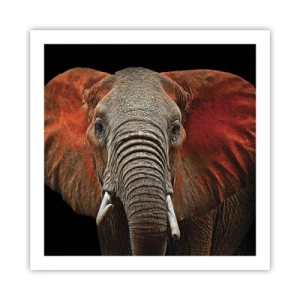 Plakat - Jeg er vild, er du? - 60x60 cm