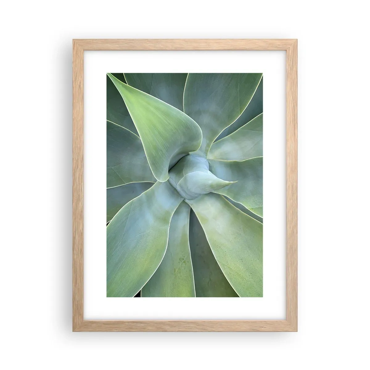 Plakat i ramme af lyst egetræ - Den grønne fødsel - 30x40 cm