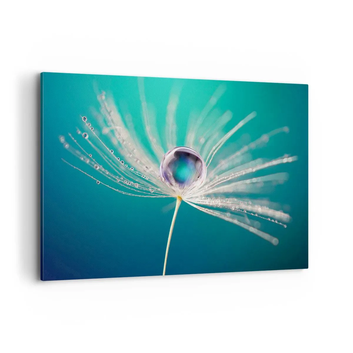 Lærredstryk - Billede på lærred - Mystisk øjeblik - 120x80 cm