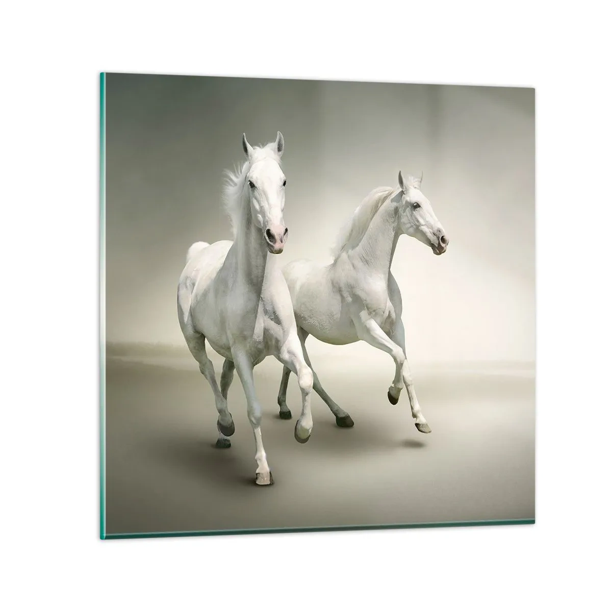 Billede på glas - White power! - 60x60 cm