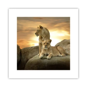 Plakat - Kongelig majestæt - 30x30 cm