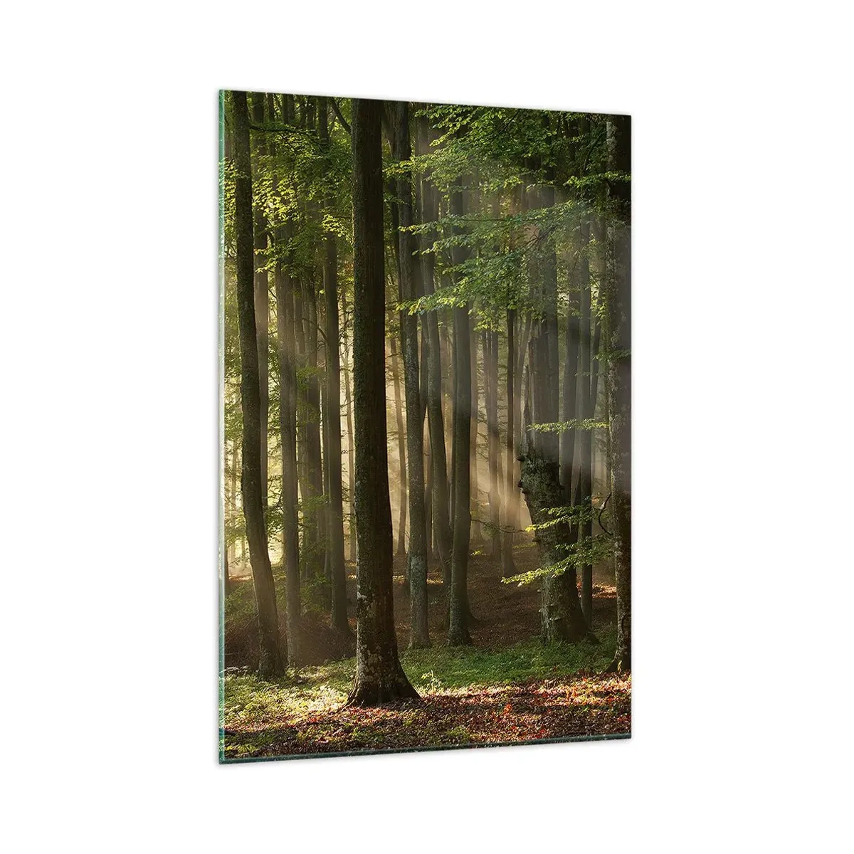 Billede på glas - Strålende på en forårsmorgen - 80x120 cm