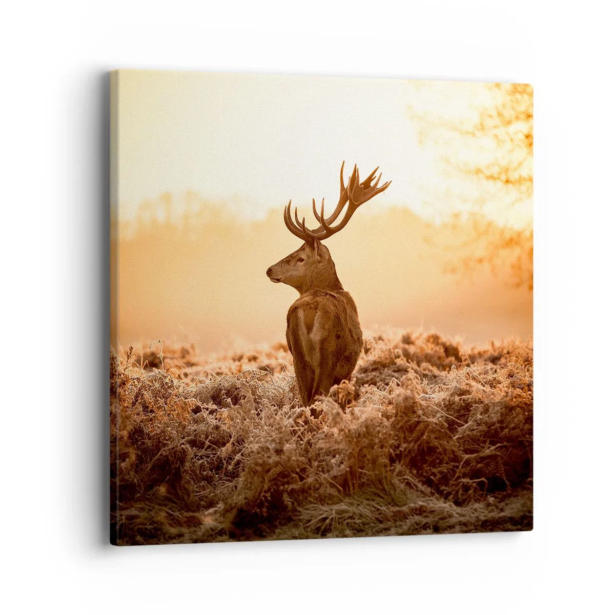 Lærredstryk - Billede på lærred - Herre på godset - 40x40 cm