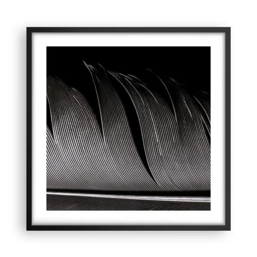 Plakat i sort ramme - Fjer - en vidunderlig konstruktion - 50x50 cm