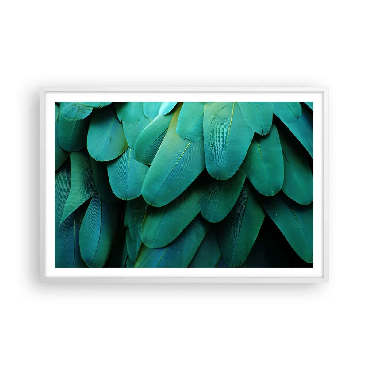 Plakat i hvid ramme - Papegøjenaturens præcision - 91x61 cm