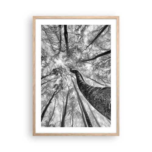 Plakat i ramme af lyst egetræ - Kapløb mod lyset - 50x70 cm