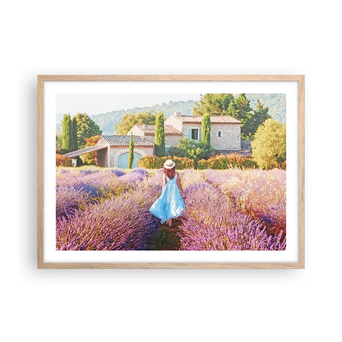 Plakat i ramme af lyst egetræ - Lavendel pige - 70x50 cm