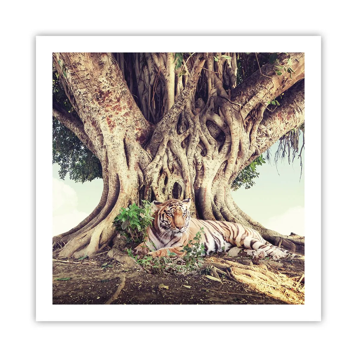 Plakat - Udsigt fra Første Mosebog - 60x60 cm