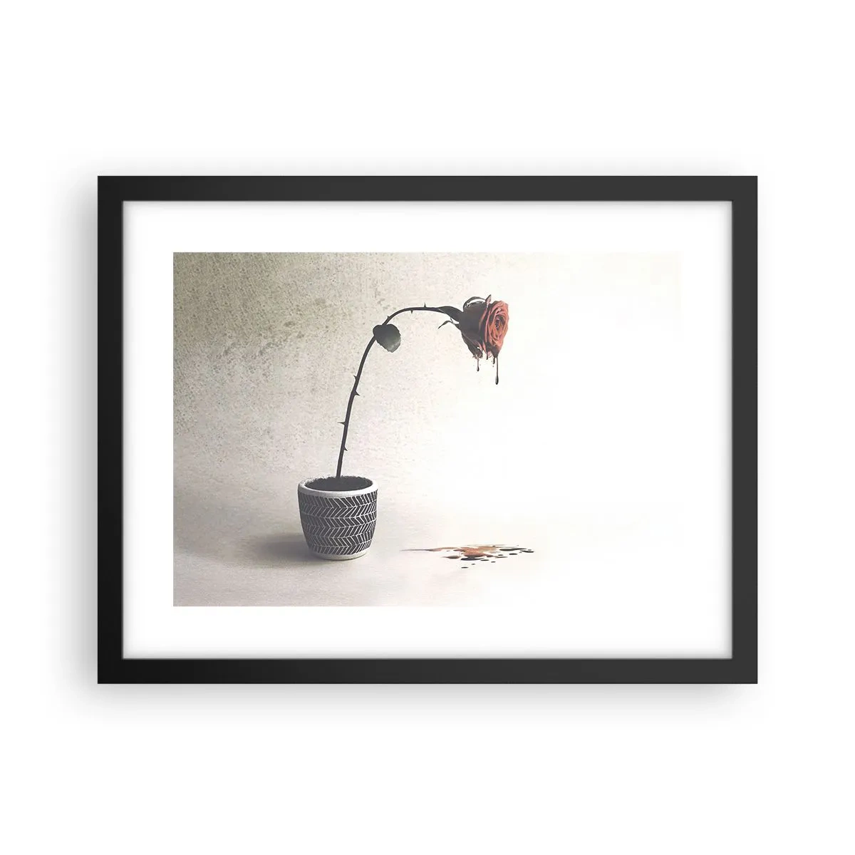 Plakat i sort ramme - Rosa dolorosa - 40x30 cm