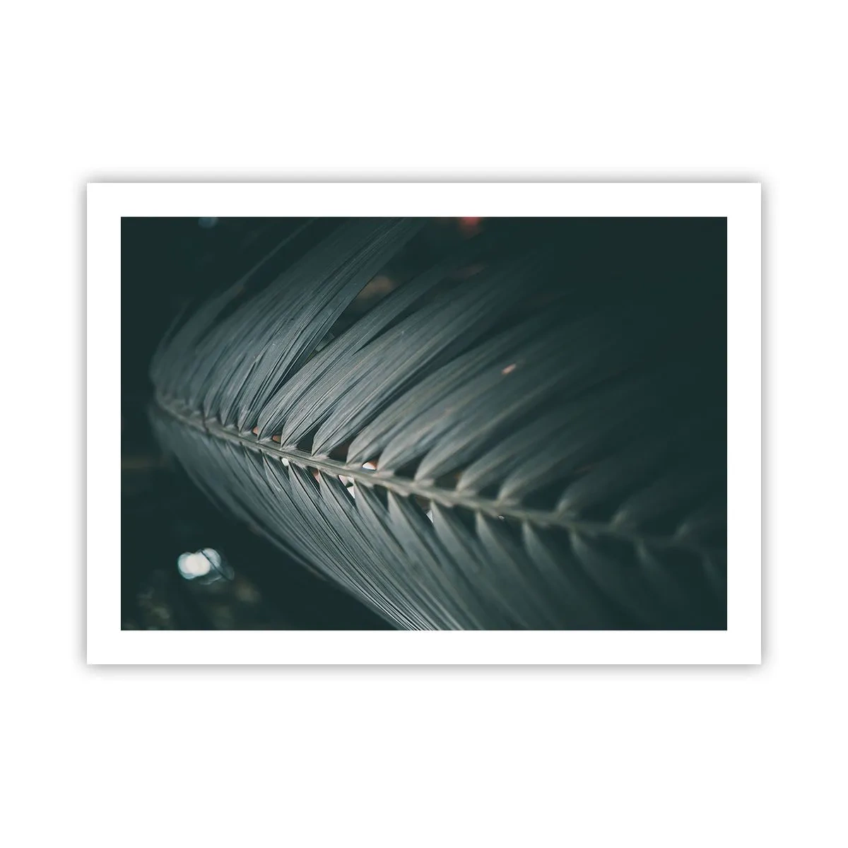 Plakat - Naturens præcision - 70x50 cm