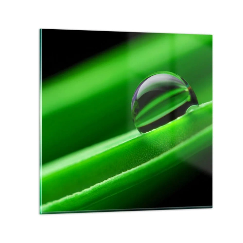 Billede på glas - Livet på tæt hold - 30x30 cm