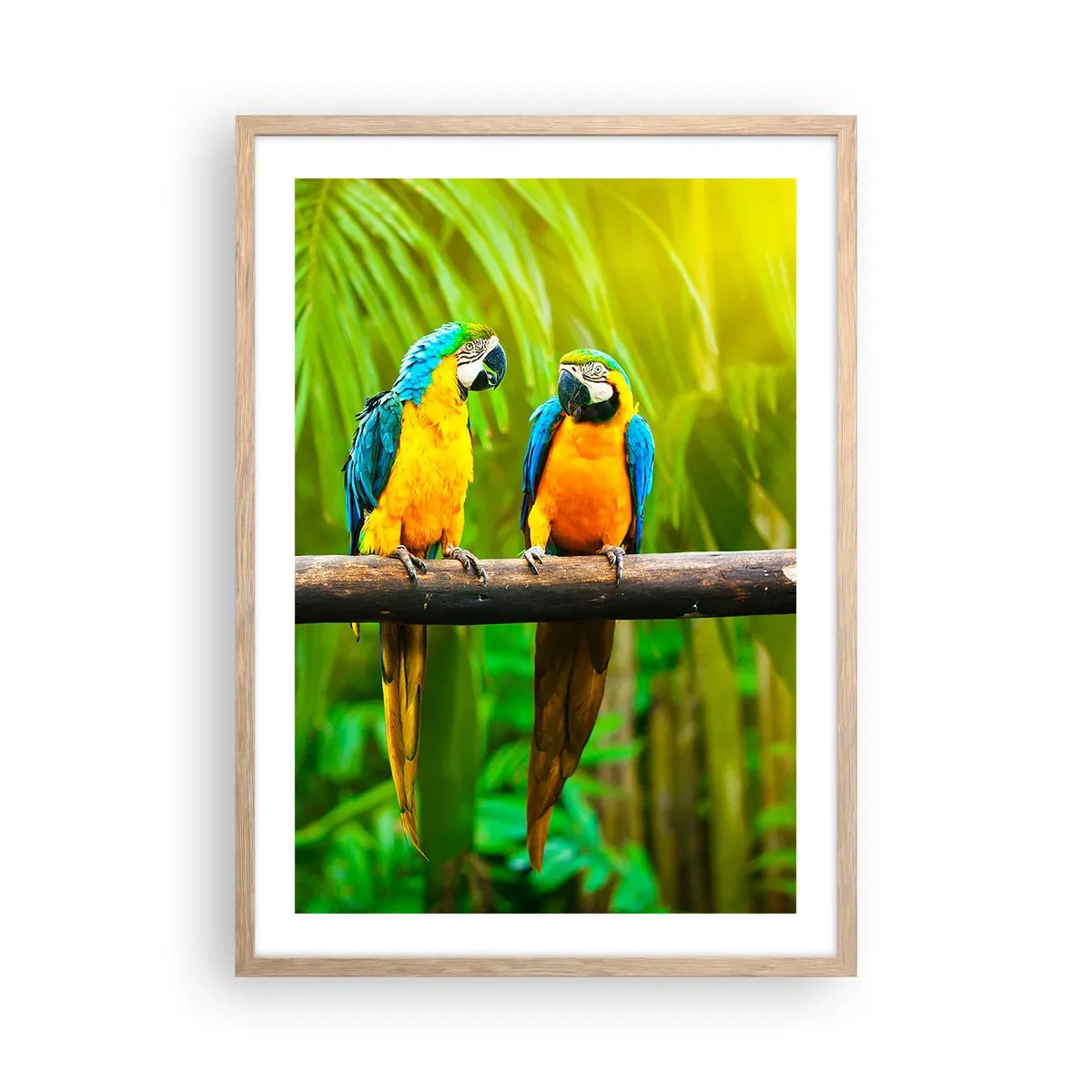 Plakat i ramme af lyst egetræ - Og har du hørt, at hun...? - 50x70 cm