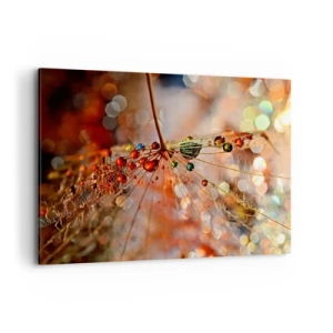 Lærredstryk - Billede på lærred - Trådet på et edderkoppespind - 100x70 cm