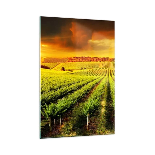 Billede på glas - Under den australske sol - 80x120 cm