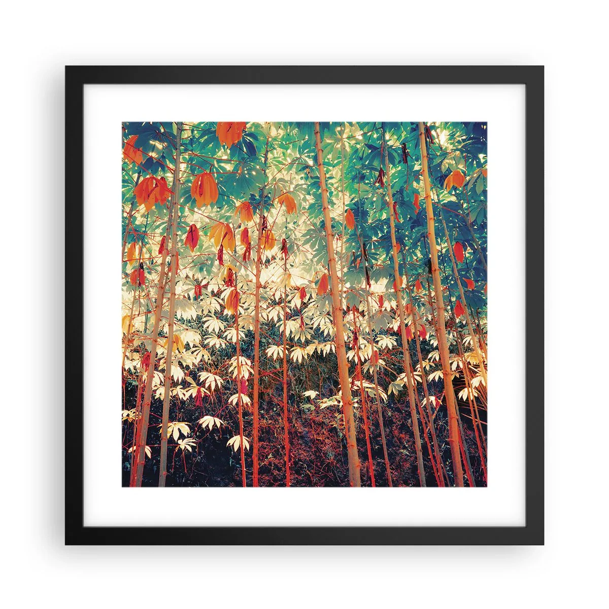 Plakat i sort ramme - Bladenes hemmelige liv - 40x40 cm
