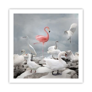 Plakat - Hvor kommer jeg fra? - 60x60 cm