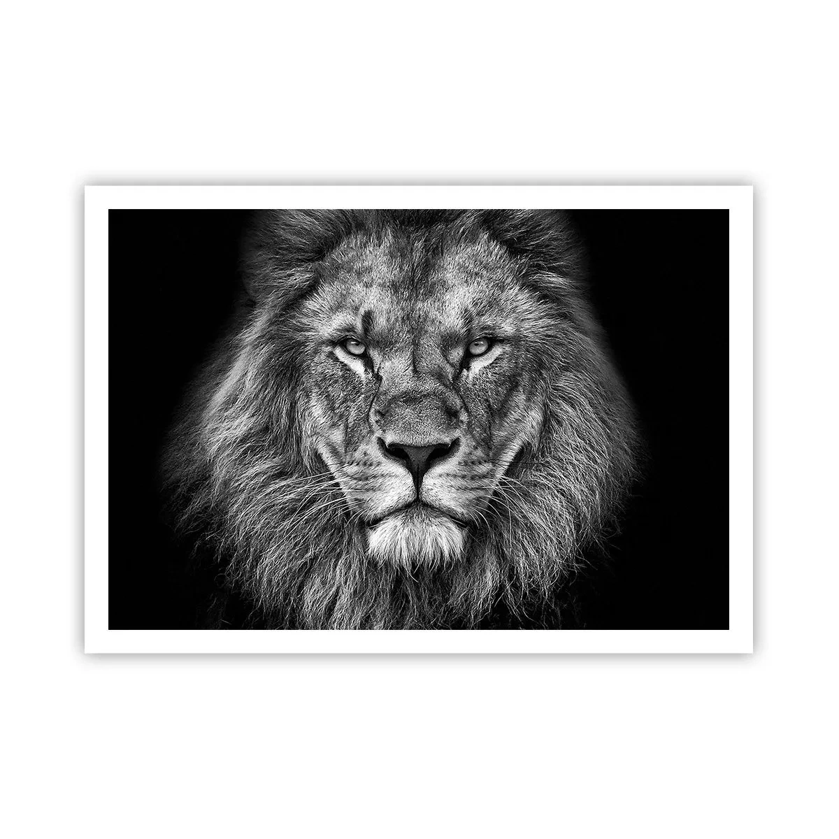 Plakat - I kroningsklædning - 100x70 cm