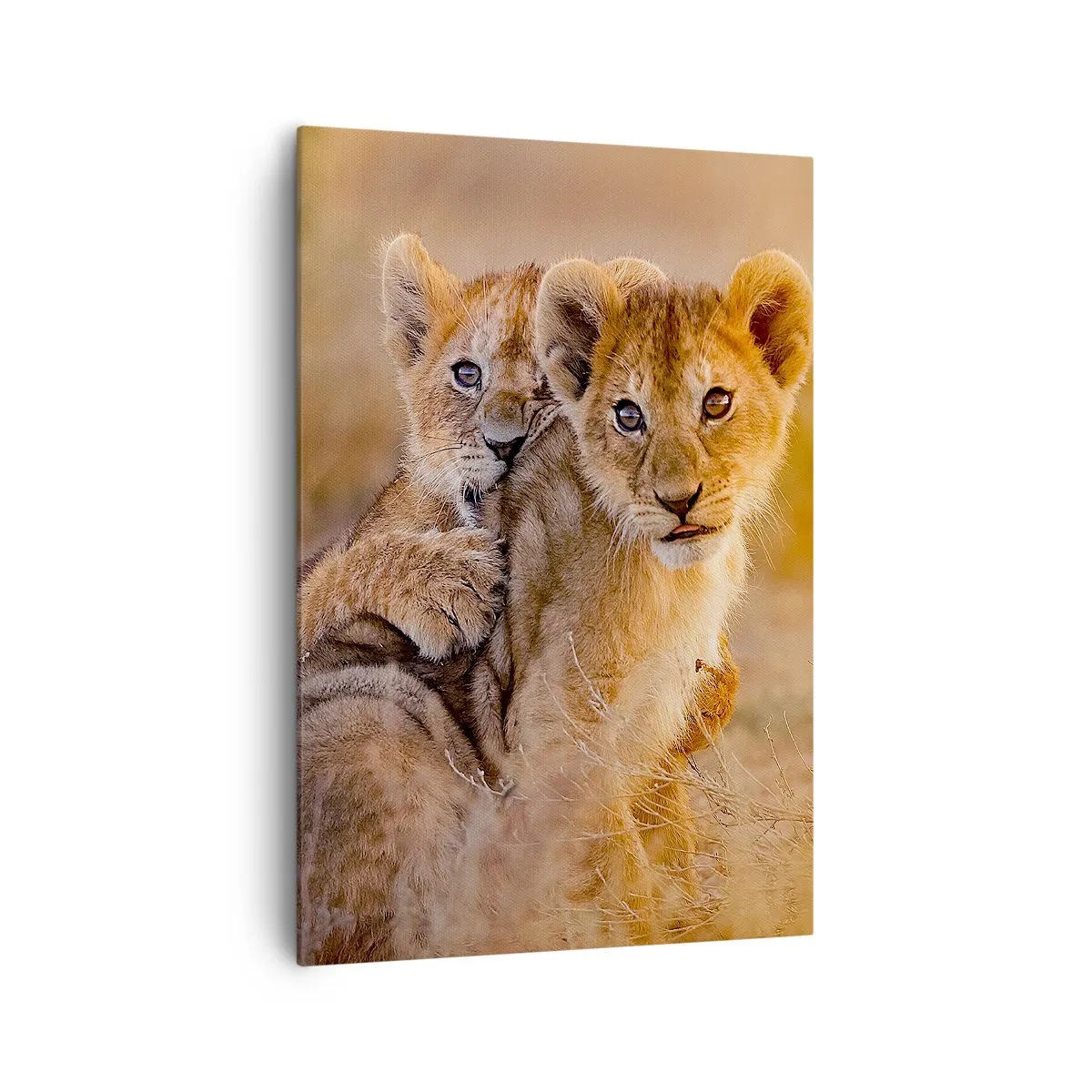 Lærredstryk - Billede på lærred - Forstyr ikke! Vi har det sjovt - 70x100 cm