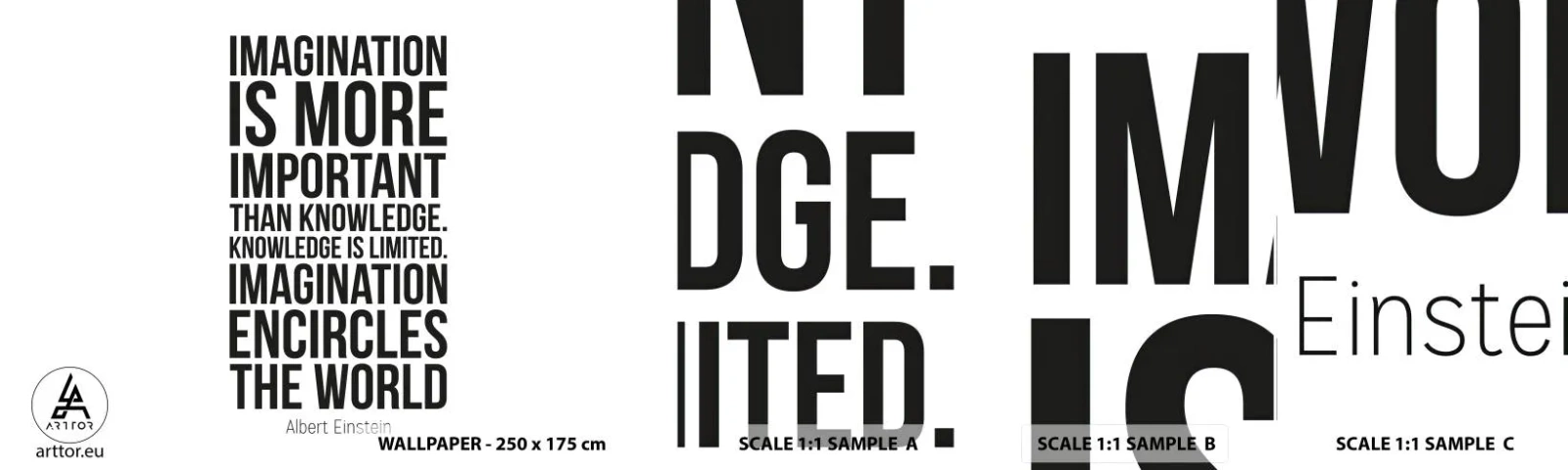Fototapet Prøve Standard Eco - Einstein om fantasiens kraft - Typografi, Bekræftelse, Maxim - 100x30 cm