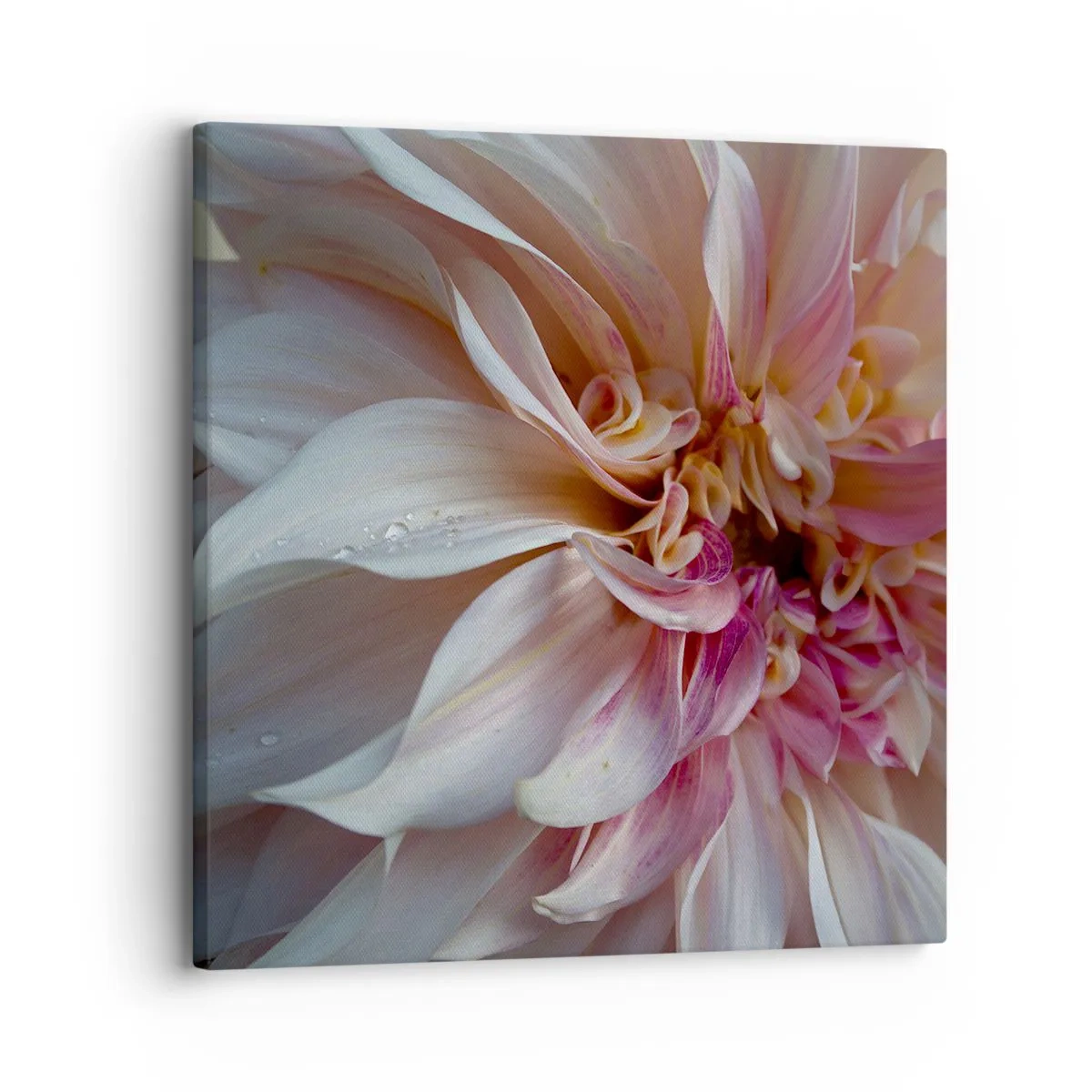 Lærredstryk - Billede på lærred - Blomstrende friskhed - 30x30 cm