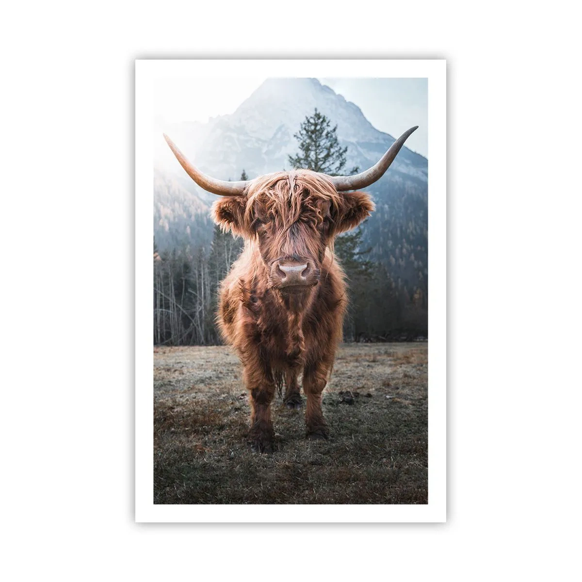 Plakat - Hilsner fra en eng i bjergene - 61x91 cm