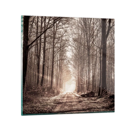 Billede på glas - Skovkatedralen - 30x30 cm