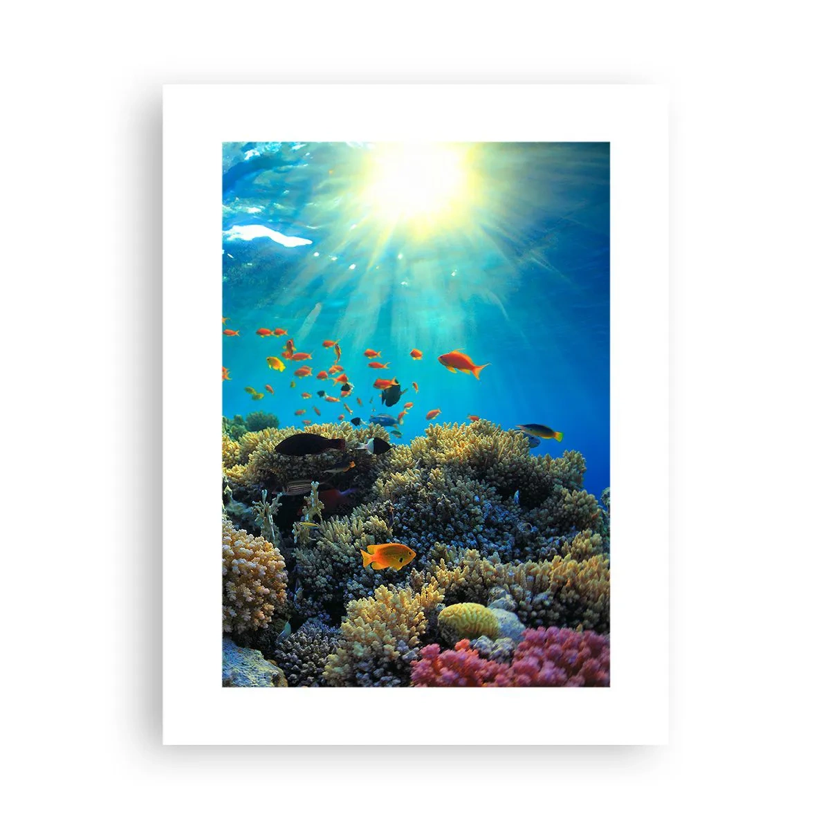 Plakat - Undervandsskatte - 30x40 cm