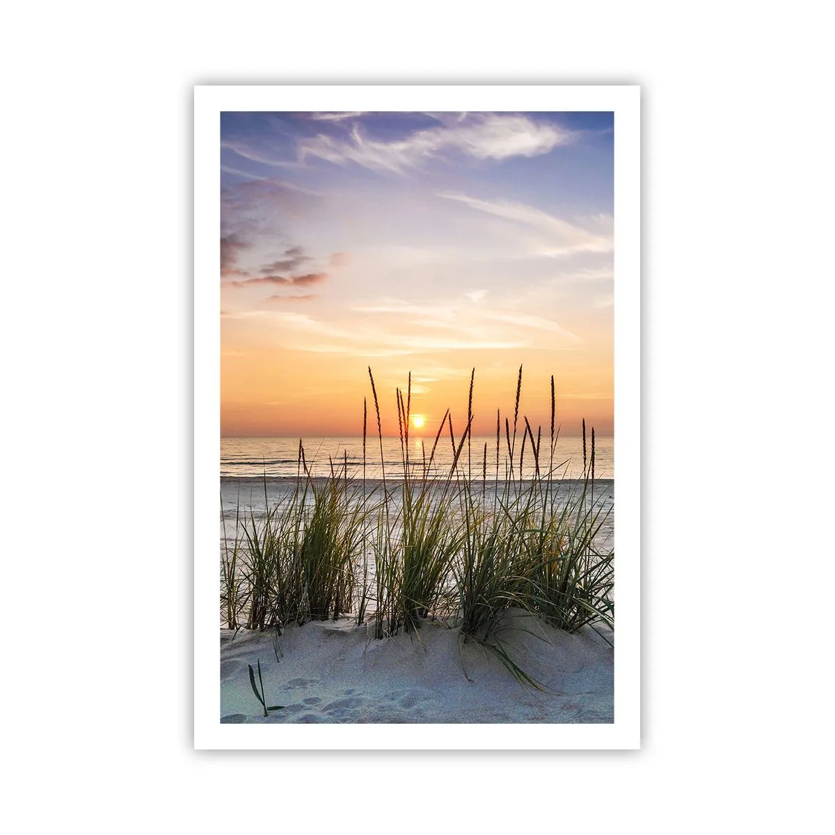 Plakat - Se, tænk, føl - 61x91 cm