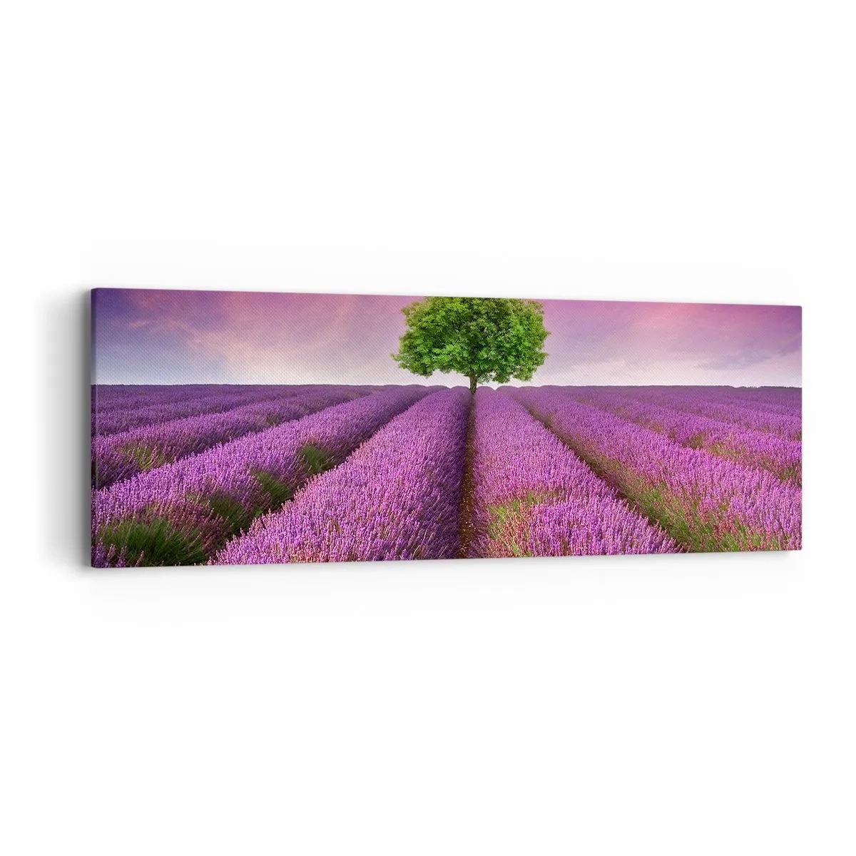 Lærredstryk - Billede på lærred - I lavendelmarker - 90x30 cm