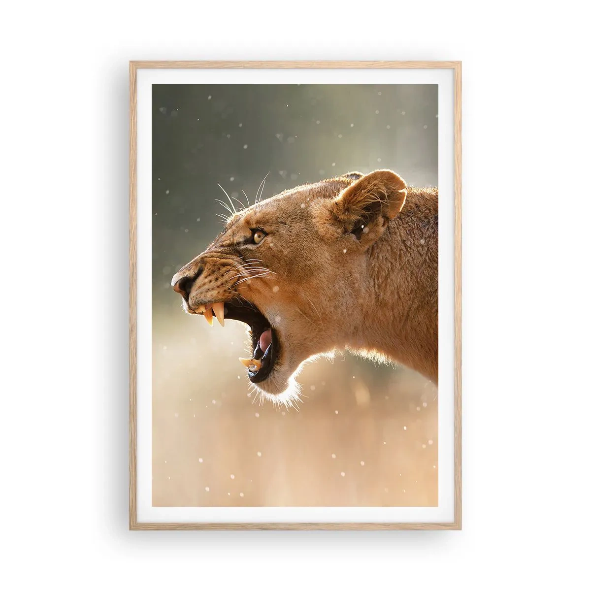 Plakat i ramme af lyst egetræ - Prøv ikke at lytte - 70x100 cm