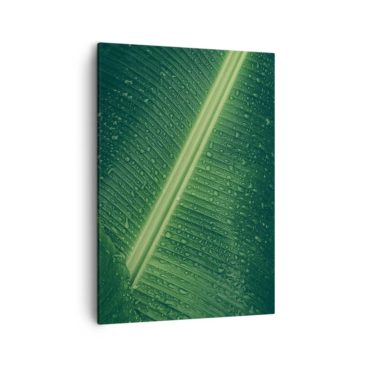 Lærredstryk - Billede på lærred - Grøn struktur - 50x70 cm