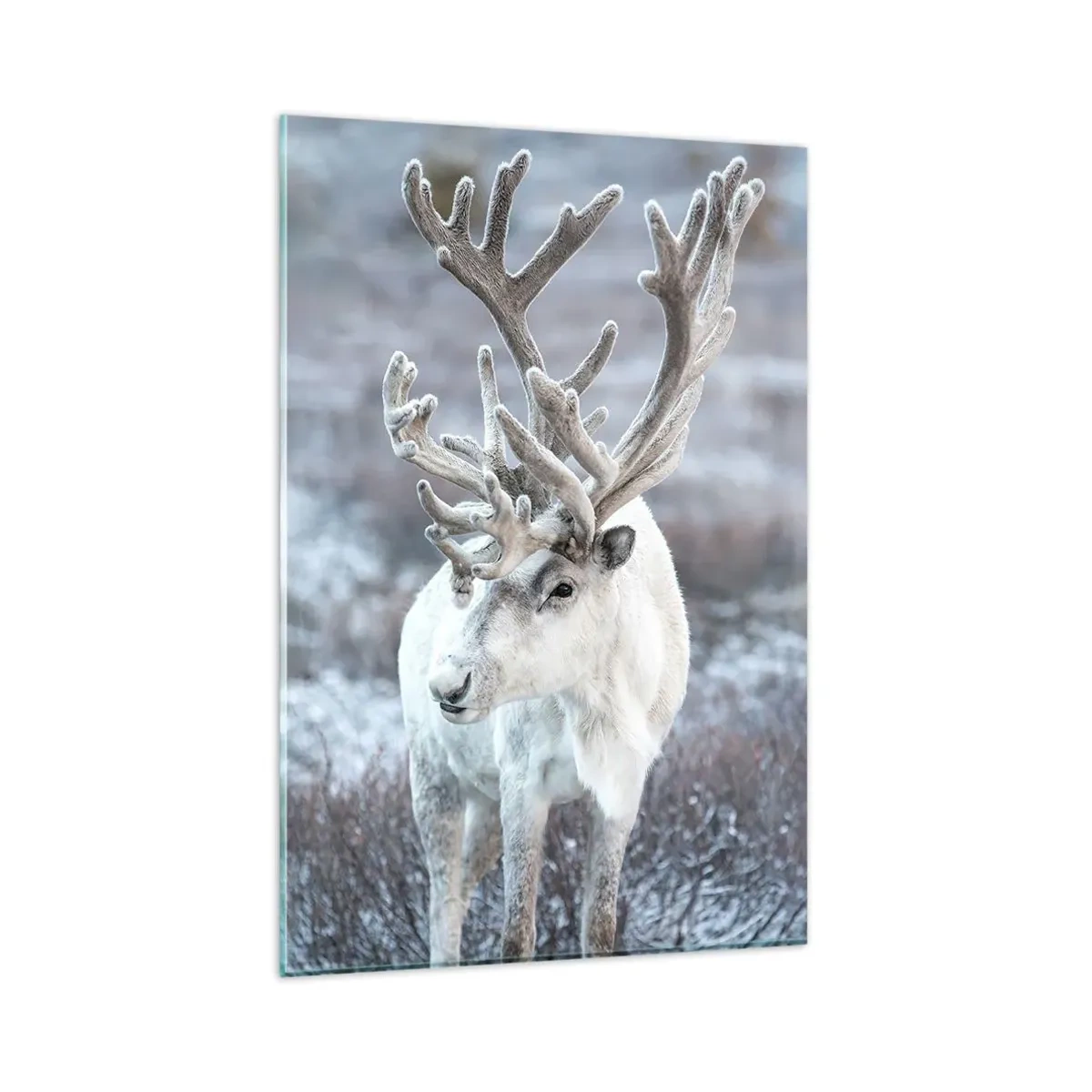 Billede på glas - Portræt i solen - 80x120 cm