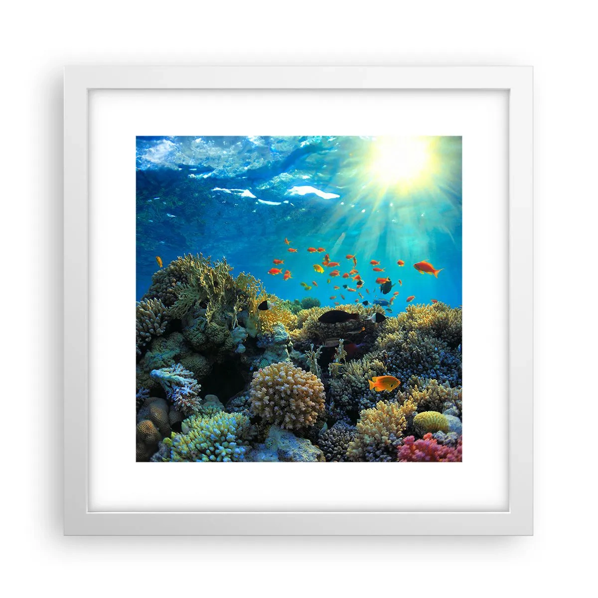 Plakat i hvid ramme - Undervandsskatte - 30x30 cm