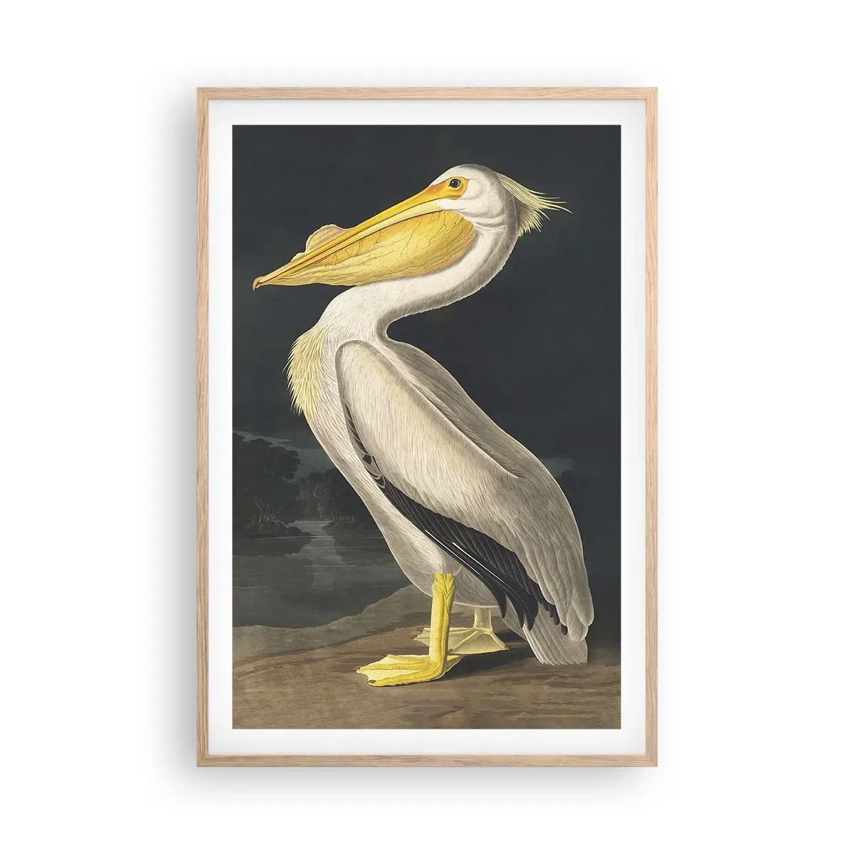 Plakat i ramme af lyst egetræ - Fuld af stolthed - 61x91 cm