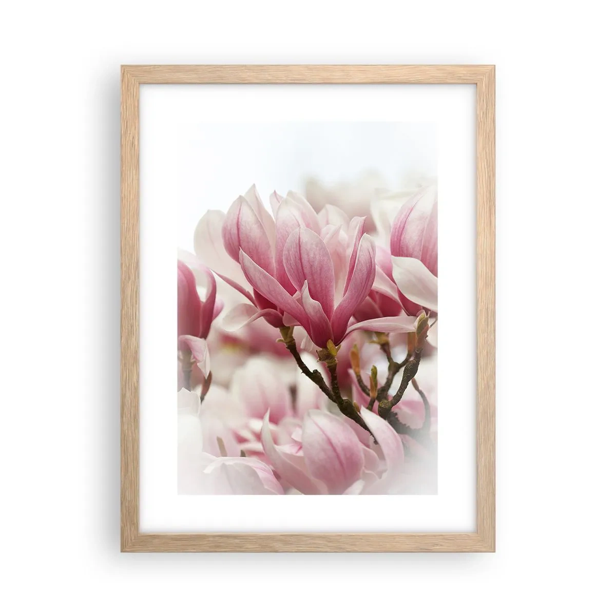 Plakat i ramme af lyst egetræ - Forårsblomster - 30x40 cm