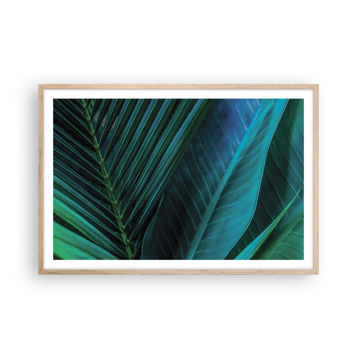 Plakat i ramme af lyst egetræ - Anatomi af en grøn - 91x61 cm