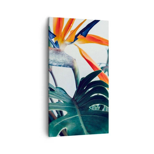 Lærredstryk - Billede på lærred - Fuglebur - 45x80 cm