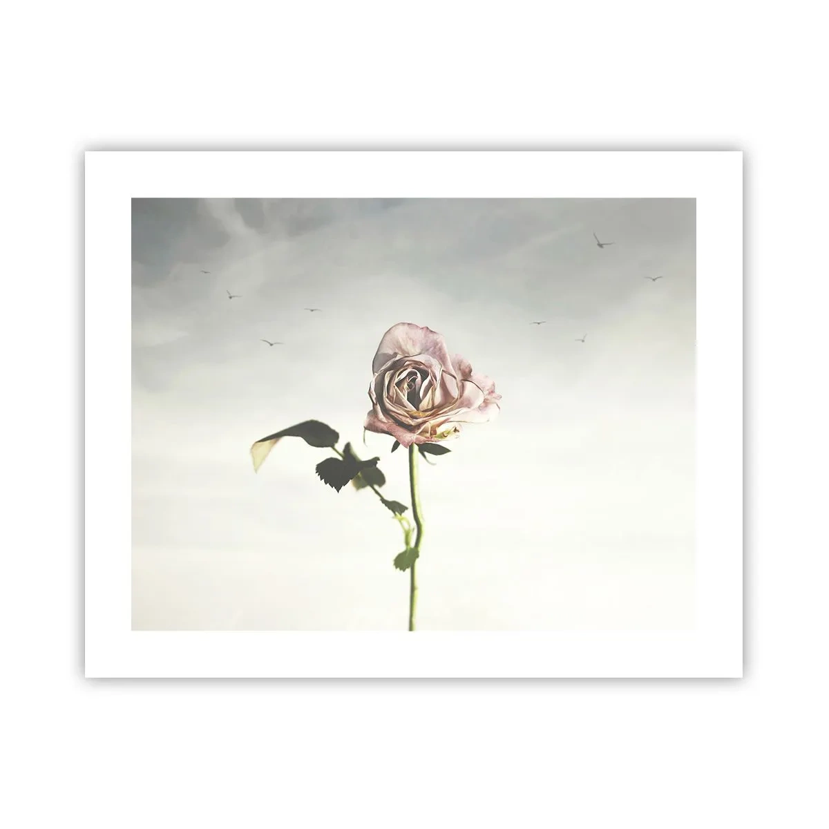 Plakat - Velkomst til foråret - 50x40 cm