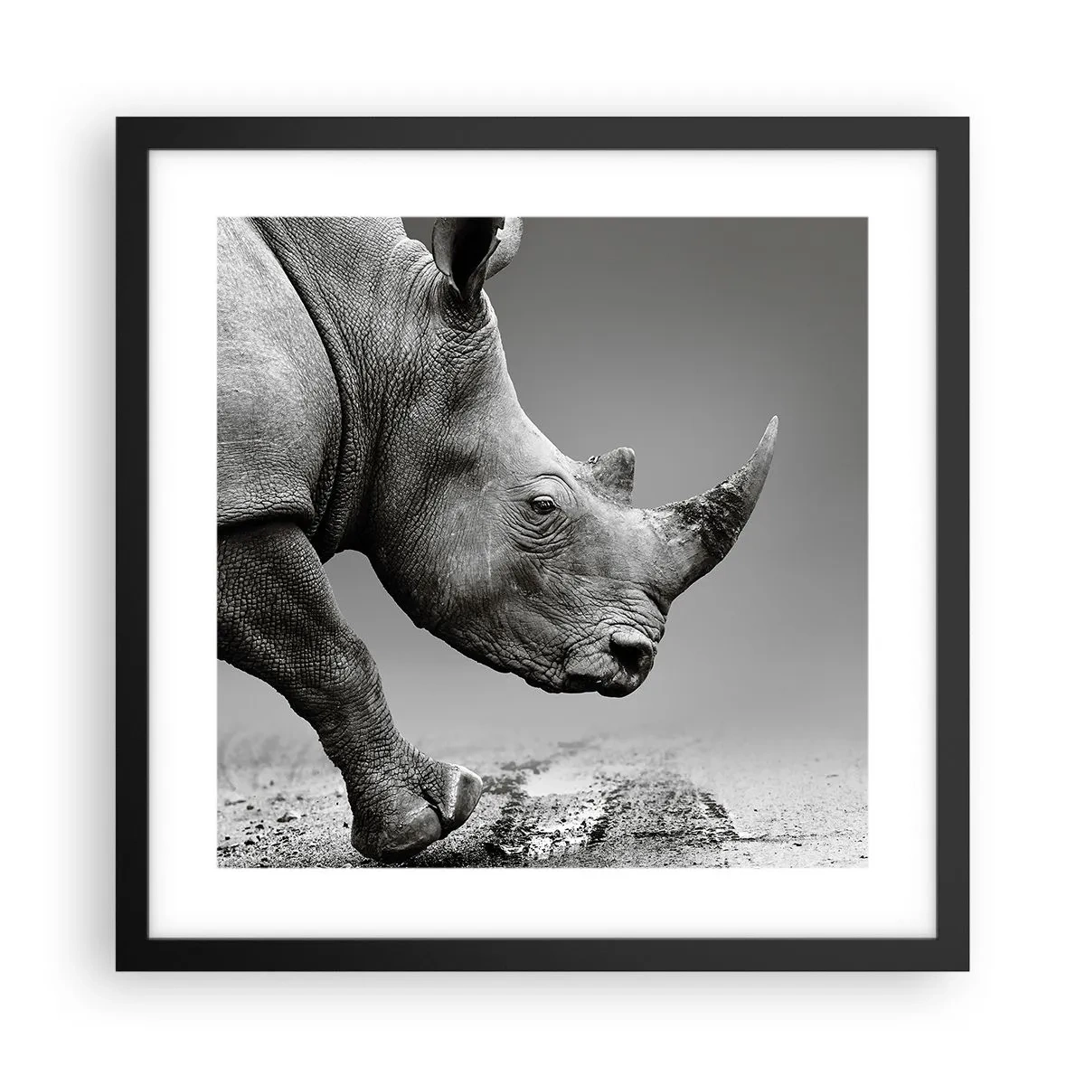 Plakat i sort ramme - En ustoppeli - 40x40 cm