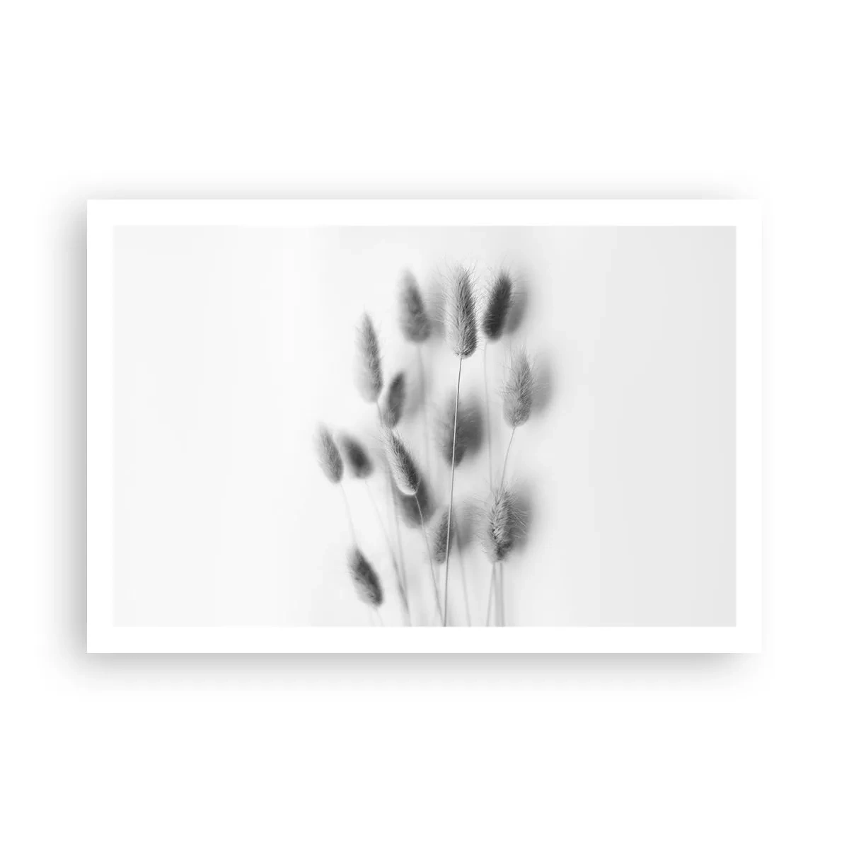 Plakat - Dens bløde græs - 91x61 cm