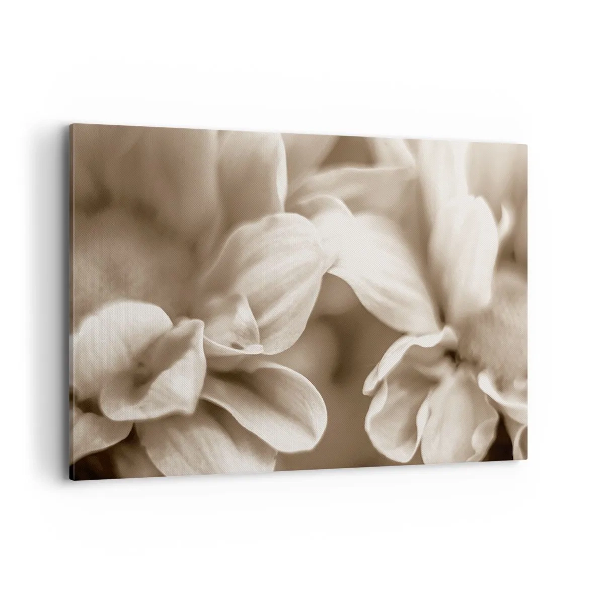 Lærredstryk - Billede på lærred - Blid som et smil - 120x80 cm